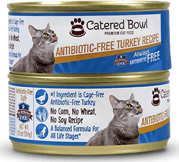 Catered Bowl Antibiotic-Free Turkey (Canned)